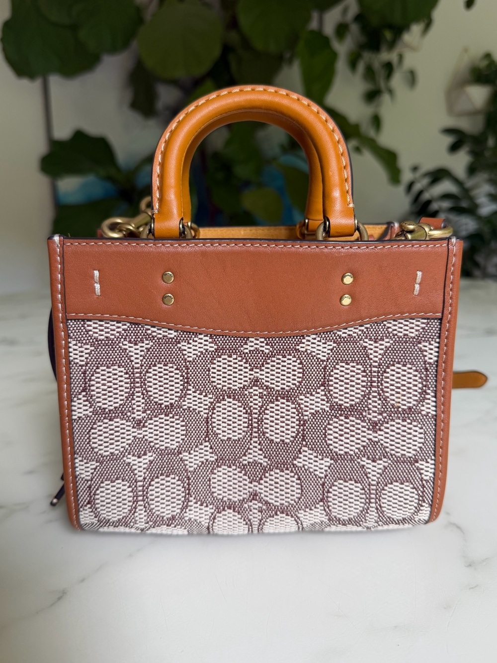 Coach Rogue 17 In Signature Textile Jacquard With Duck Motif C6164 Crossbody Bag - Picture 3 of 15